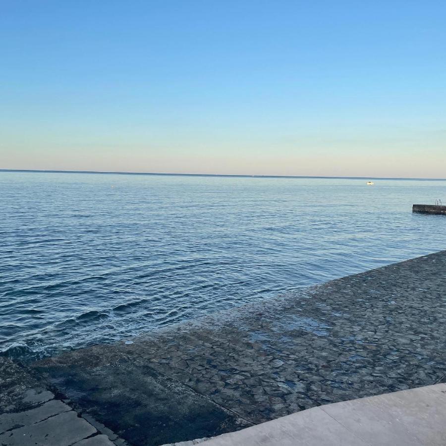 App Robi Leilighet Novigrad Istria Eksteriør bilde